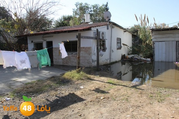 dakka majary 0125 (2).JPG